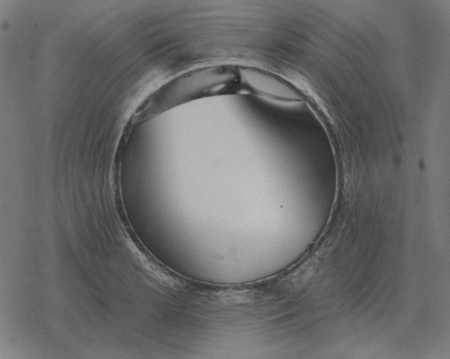 X0000077321181200611101450