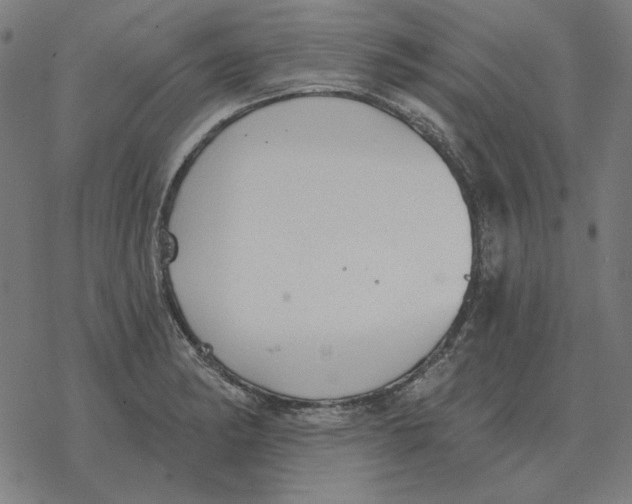 X0000077321182200611101450