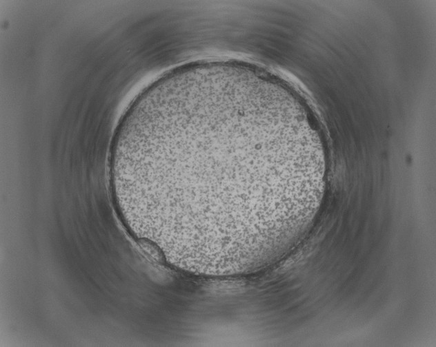 X0000077321183200611101450