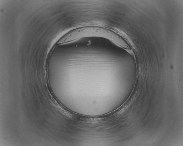 X0000077321184200611101450