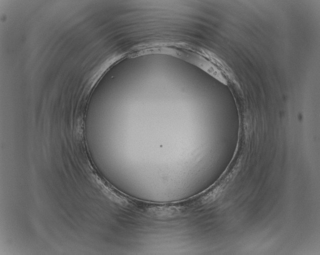 X0000077321185200611101450