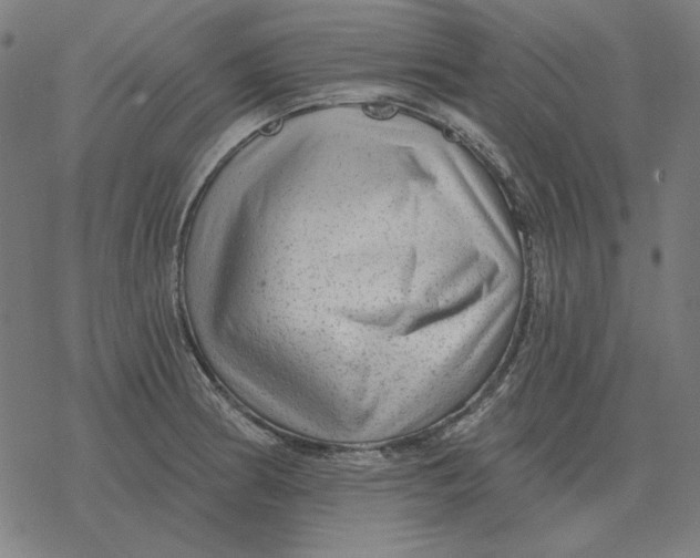 X0000077321186200611101450