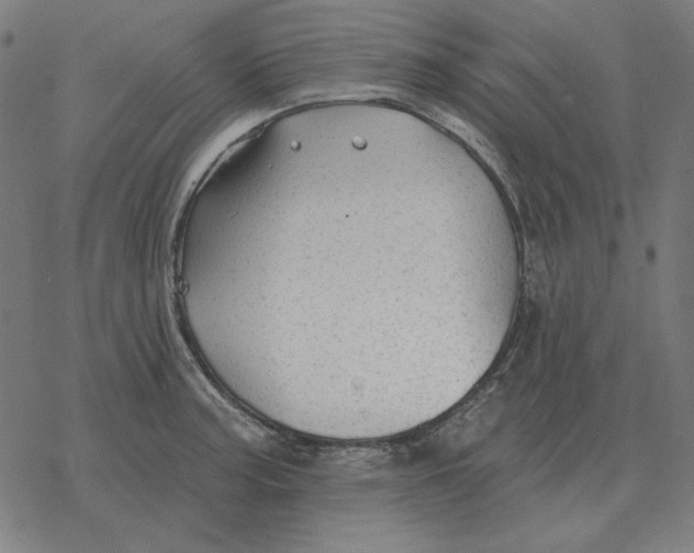 X0000077321187200611101450