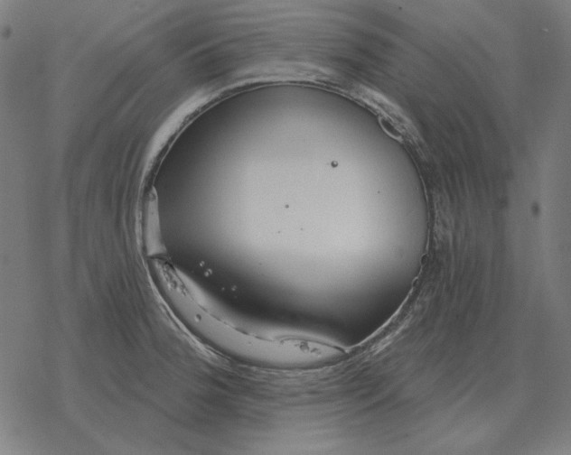 X0000077321188200611101450