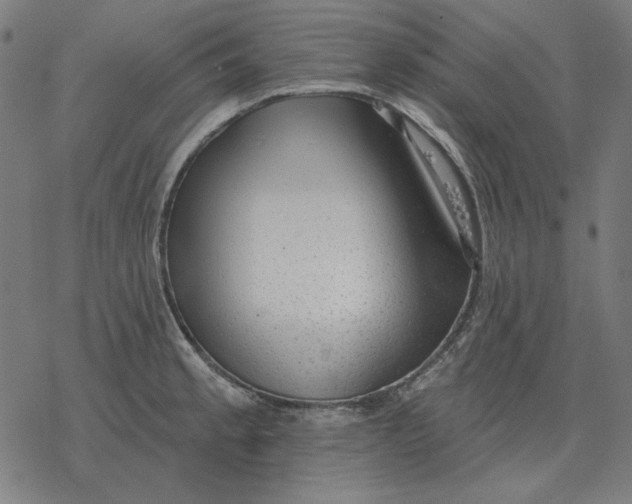 X0000077321189200611101450