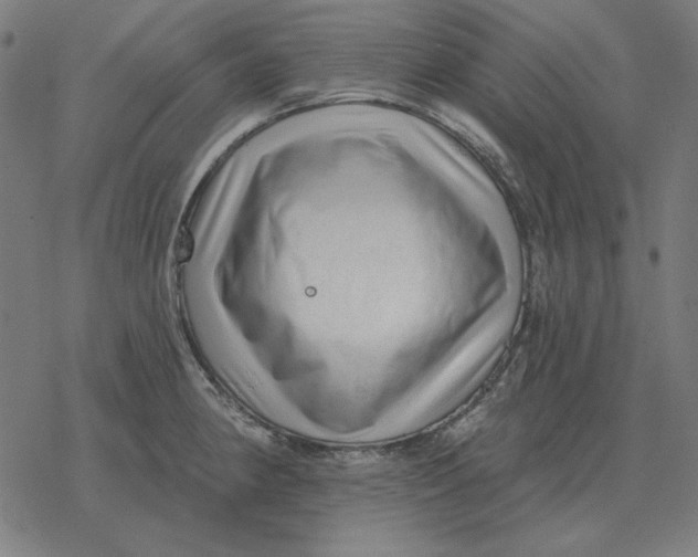 X0000077321190200611101450