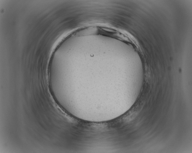 X0000077321191200611101450