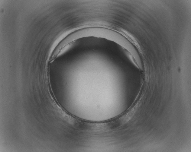 X0000077321192200611101450