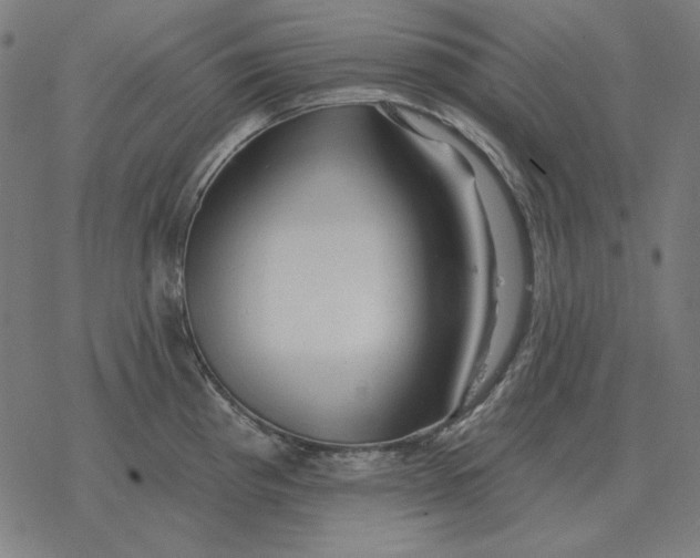 X0000077321193200611101450