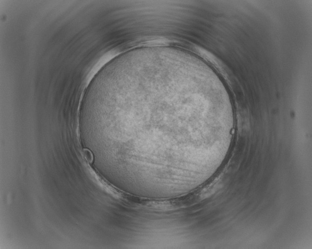 X0000077321194200611101450