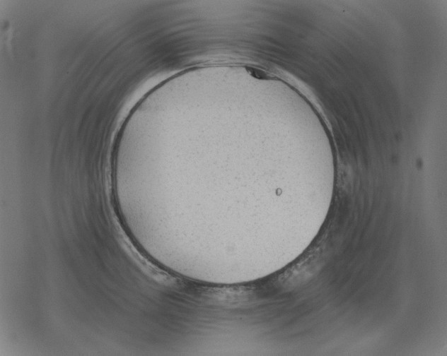 X0000077321195200611101450