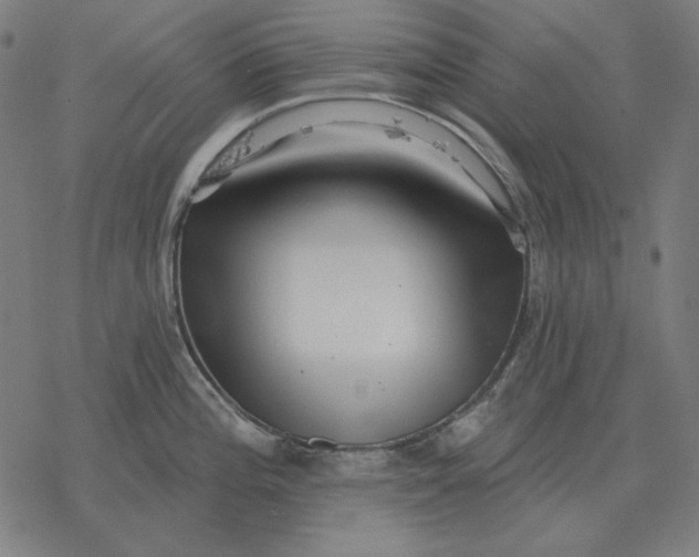 X0000077321196200611101450