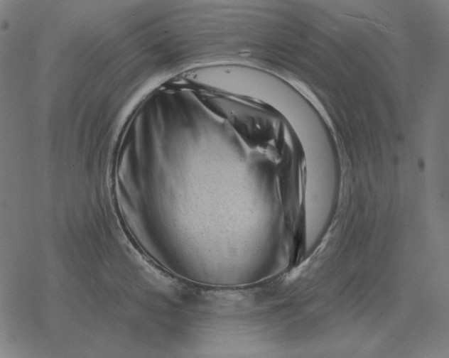 X0000077321197200611101450