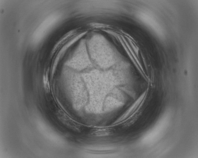 X0000077321198200611101450