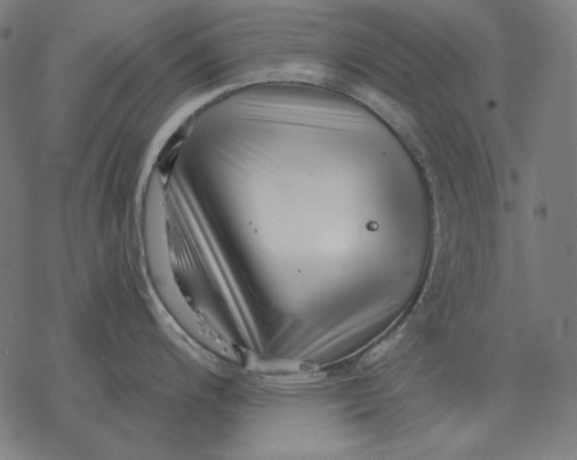 X0000077321200200611101450