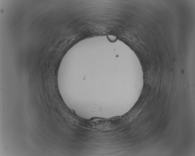 X0000077321201200611101449