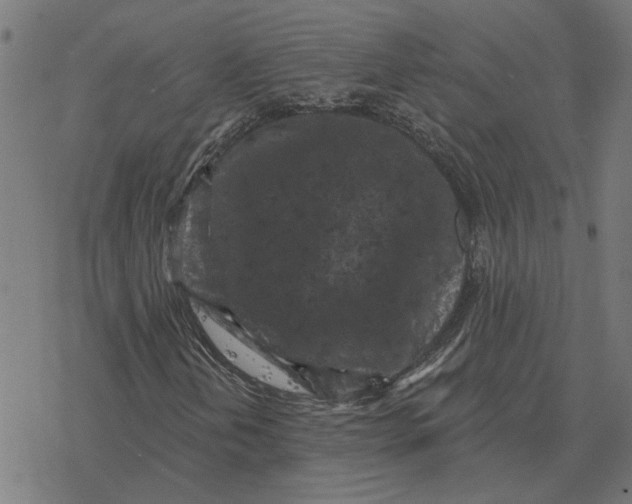 X0000077321202200611101449