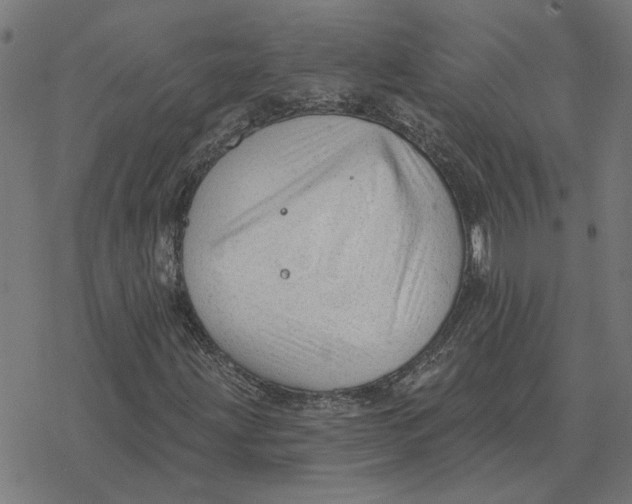 X0000077321203200611101449