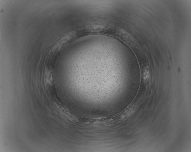 X0000077321204200611101449