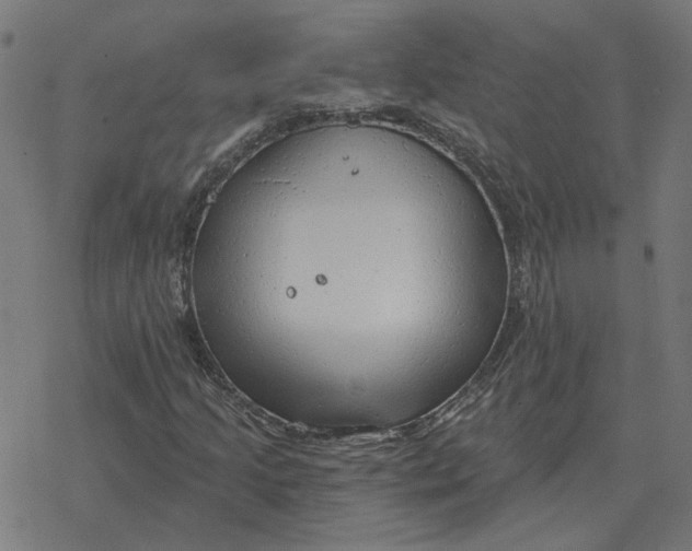 X0000077321205200611101449