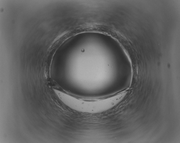 X0000077321206200611101449