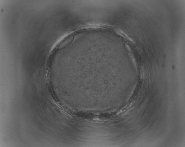 X0000077321208200611101449