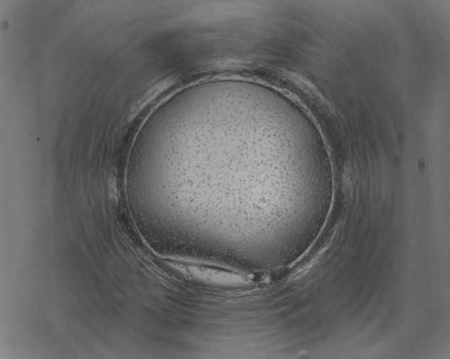 X0000077321209200611101449