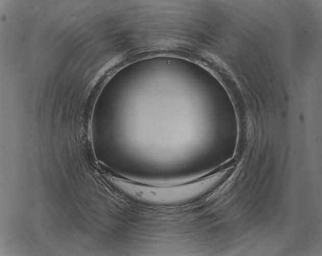 X0000077321210200611101449