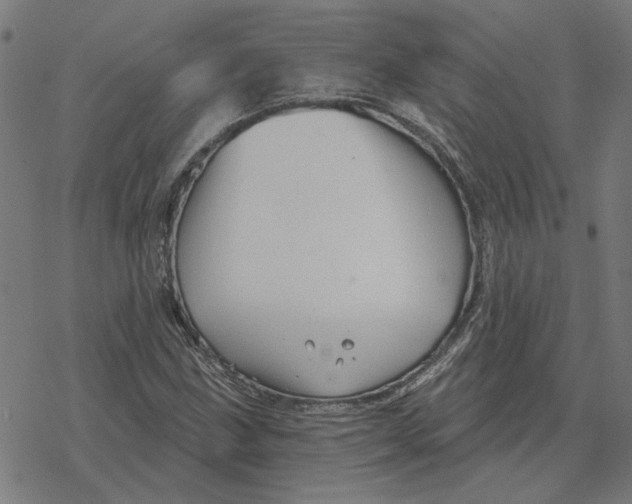 X0000077321211200611101449