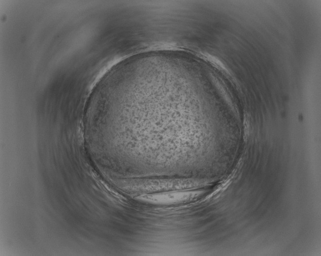 X0000077321212200611101449