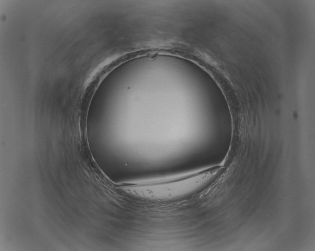 X0000077321214200611101450