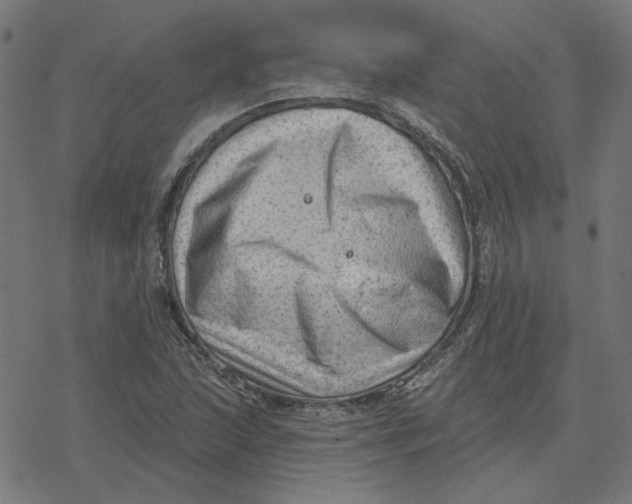 X0000077321215200611101450