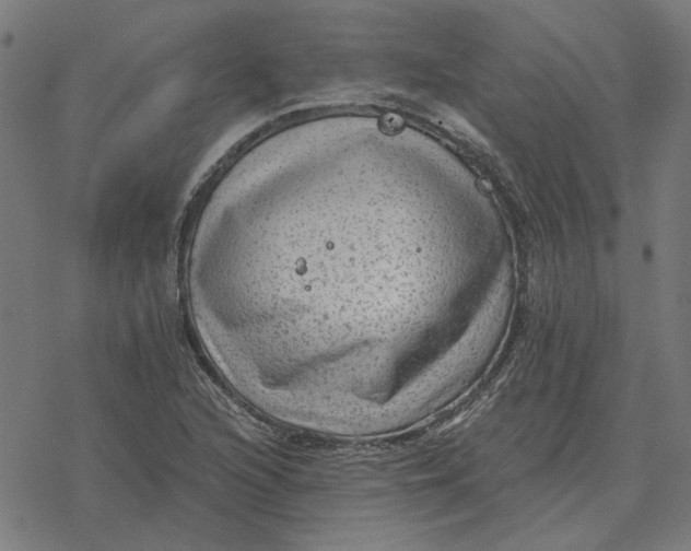 X0000077321216200611101450