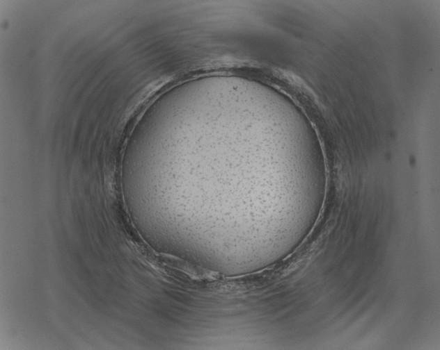 X0000077321217200611101450