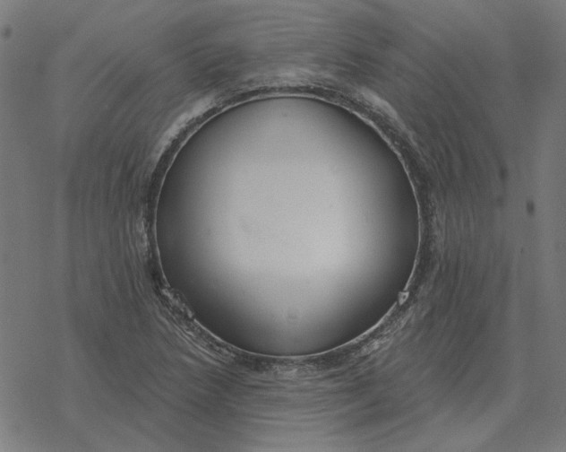 X0000077321218200611101450