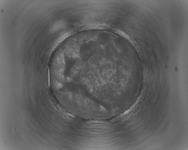 X0000077321219200611101450