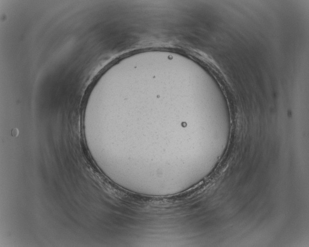 X0000077321220200611101450