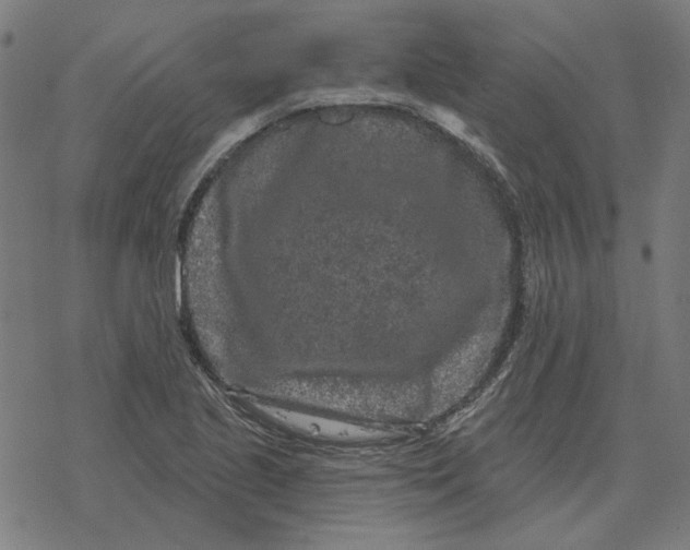 X0000077321221200611101450