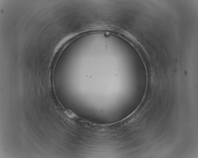 X0000077321222200611101450