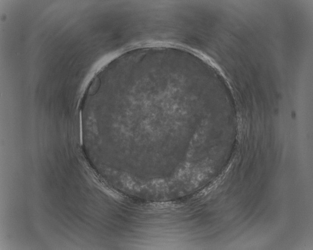 X0000077321223200611101450