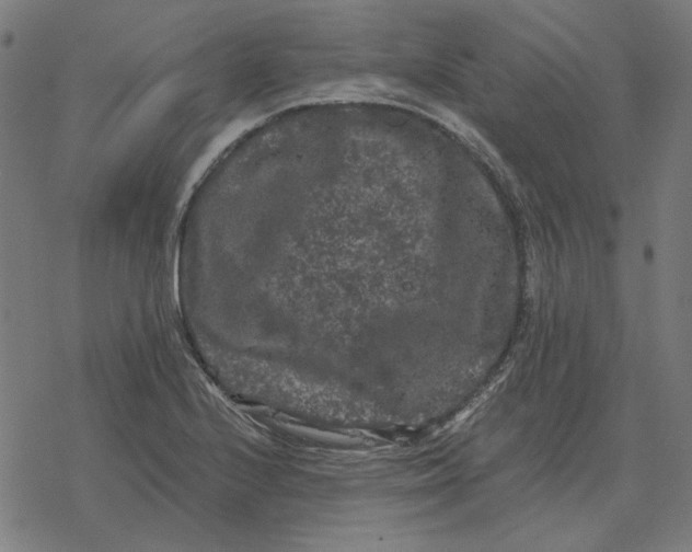 X0000077321224200611101450