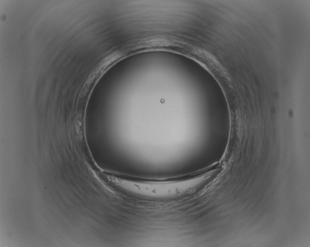 X0000077321225200611101450