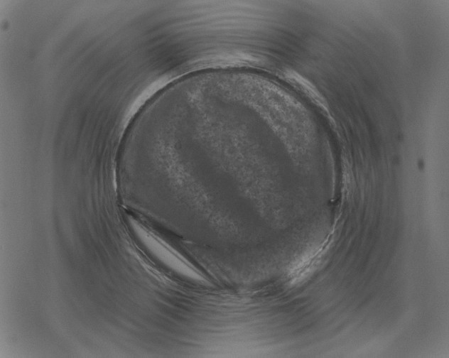 X0000077321226200611101450