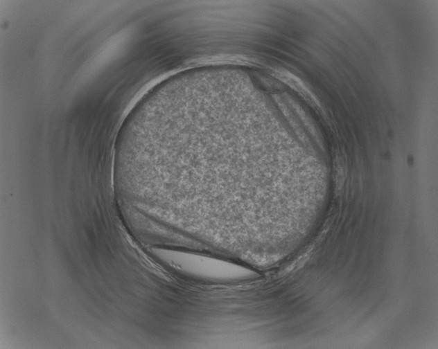 X0000077321228200611101450