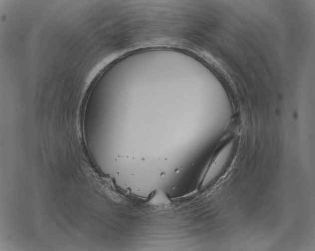 X0000077321230200611101450