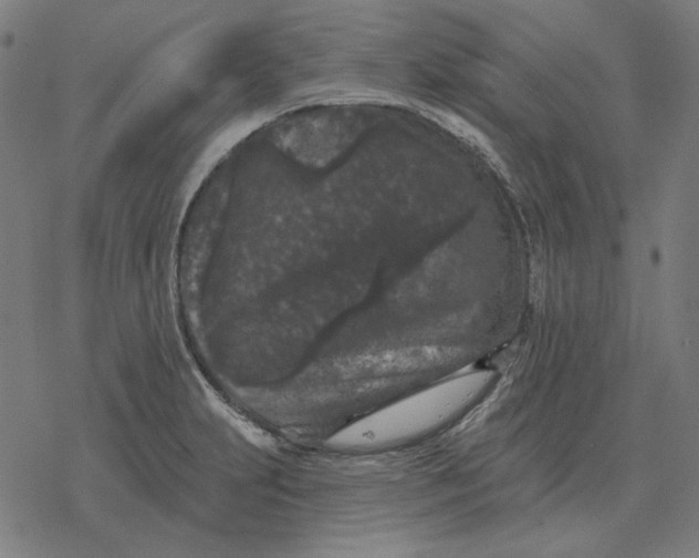 X0000077321231200611101450