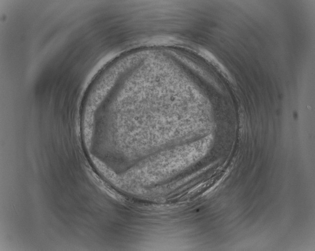 X0000077321232200611101450