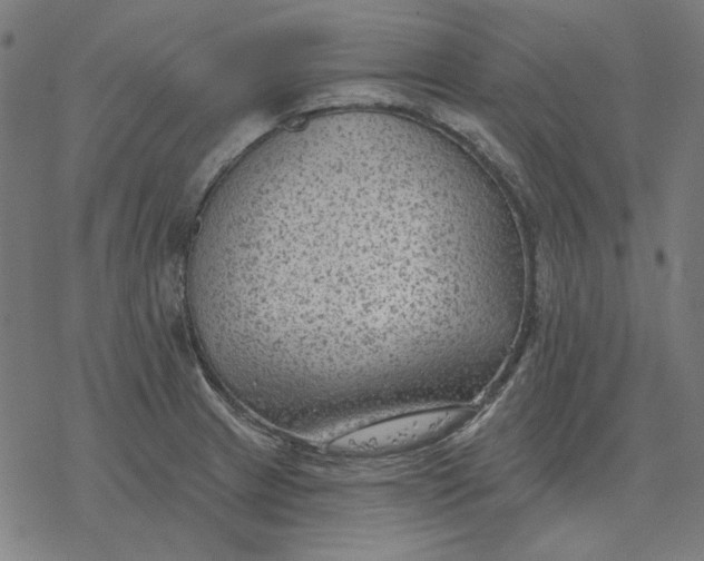 X0000077321233200611101450