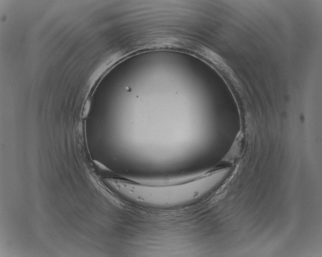 X0000077321234200611101450