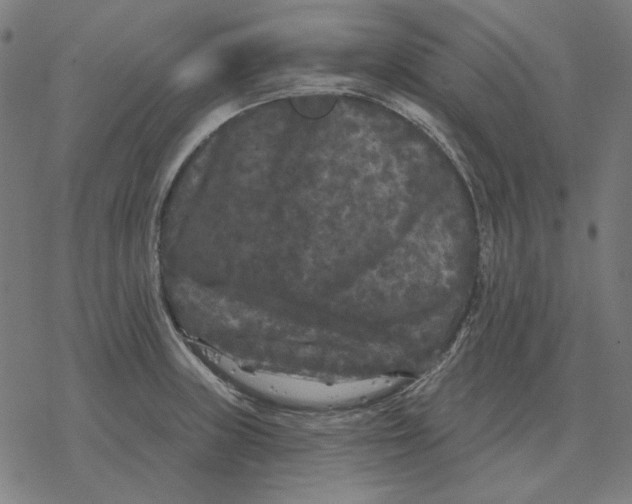 X0000077321235200611101450